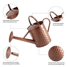 BLstyle 1 Gallon Metal Watering Can for Outdoor Indoor Plants, Copper Colored Watering Can with Removable Spray Spout, Ideal for Garden Watering