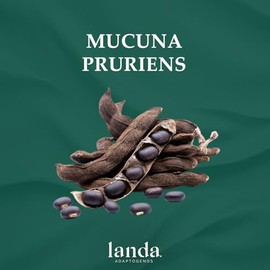 LANDA | Extracto en Polvo de Mucuna Pruriens 100g | Polvo de Extracto de Mucuna Pruriens Orgánico 10:1 | Apoyo a la Salud Mental | Mejora Cognitiva | 