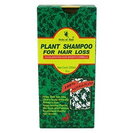 Deity Shampoo Plant For Hair Loss 8 Ounce (Pack of 2)