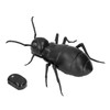 Ant Toy Infrared Remote Control Clear Texture Dynamic Lighting Remote