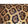 Ravensburger Rompecabezas Ravensburger 17096 Challenge Manchas De Jaguar 1000