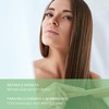 Válquer Intensive Restorative Hair Mask Olive 250 ml
