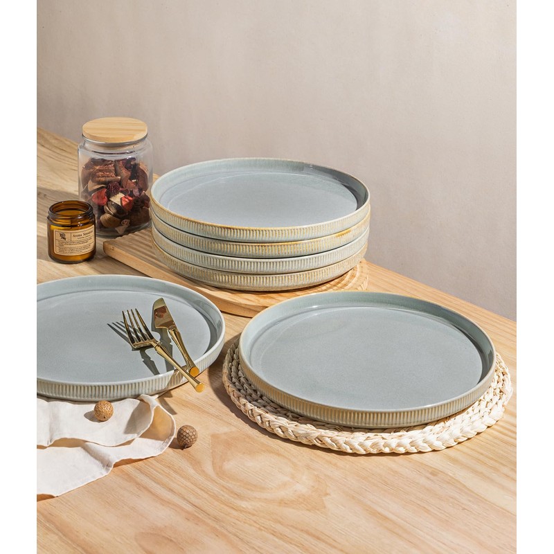 theterra Dinner Plates Set of 6, 10.25 Inch Ceramic Dinner