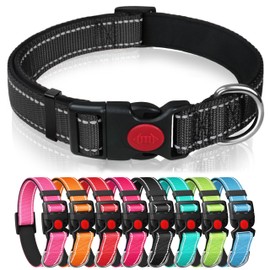 Reflective Nylon Dog Collar with Safety Buckle, Adjustable Pet Collars with Soft Neoprene Padding (Black, S)