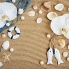 Tiny Mixed Ocean Beach Spiral Seashells &10 Small Starfish -