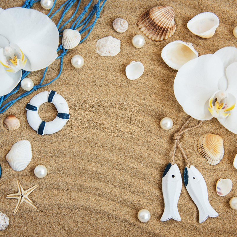 Tiny Mixed Ocean Beach Spiral Seashells &10 Small Starfish -