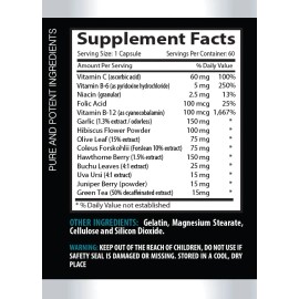 Healthy Circulation - BLOOD PRESSURE SUPPORT - Vitamin B-6, B-12, C - 1 Bottle