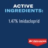 BioAdvanced 12 Month Tree & Shrub Protect and Feed Concentrate