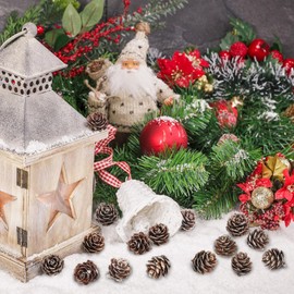 Songjum 200 Pieces Pine Cones Decorative Mini with White Coating Pine Cones Natural Small Christmas Pine Cones for Home Party Crafts Gift Wedding Christmas Tree Winter Decoration