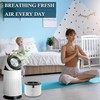 iDeer Life Replacement Hepa Filter for Breville Air Rounder Purifier