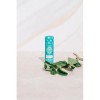 Bálsamo Labial Menta Natural Vegano Push Up