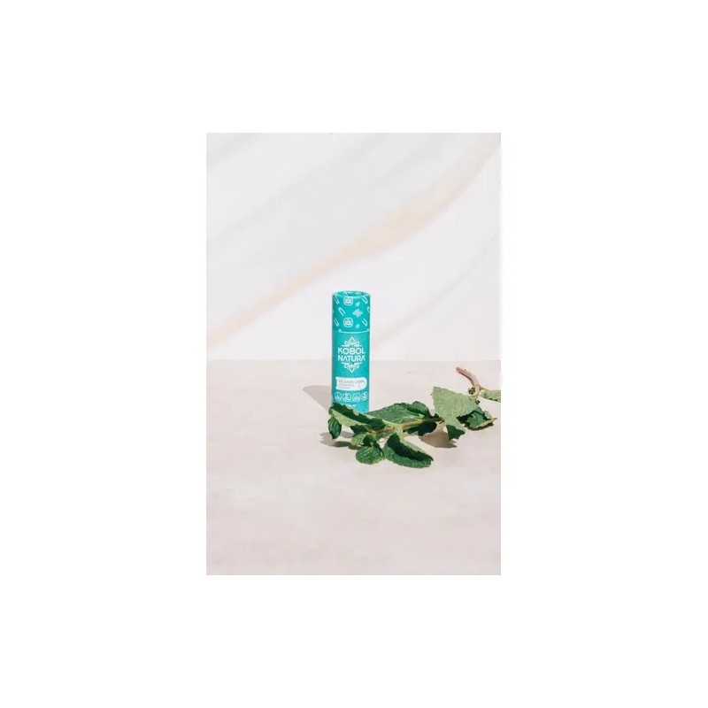 Bálsamo Labial Menta Natural Vegano Push Up