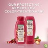Garnier Whole Blends Color Care Conditioner, Argan Oil & Cranberry