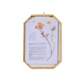 NCYP Hanging Octagon Brass Glass Frame for Pressed Dried Flowers Plant Specimen Herbarium, DIY Vintage Gallery Wall Mounted Decor Floating Frame 5X7 inches Style Gold, Glass Frame Only