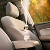 California Scents Car Fogger and Odor Eliminator, Ice
