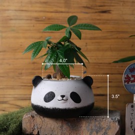 forkai Small Panda Bear Plant Pots, Resin Round Flower Pots, Cute Succulent Pots with Drainage Holes, Home Decor Planters for Animal Lovers