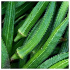 Everwilde Farms - 1 Oz Organic Cowhorn Okra Seeds - Gold Vault Packet