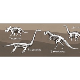 Grace & Gardenia Colorful Dinosaurs Peel and Stick Wallpaper Border 15ft (Brown Black White, 8 inch)