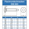 Eisenwaren2000 M6 x 25 mm (30 pieces) - Carriage Bolts