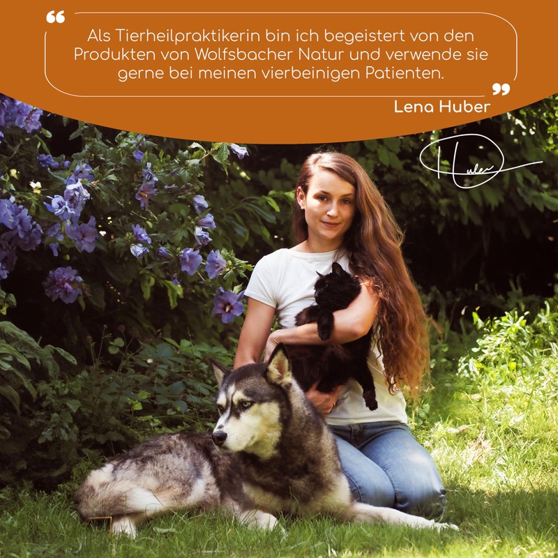 Wolfsbacher Joint Tablets for Dogs as Snack | Joints &