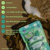Funky Vits - Aqua Magnesium | Nerve | Muscle |
