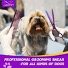 JASON Grooming Scissors for Dogs - Sharp Thinning Dog Shear