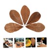 CIYODO 20pcs Dried Leaf for Sushi Plate Elegant Japanese Food