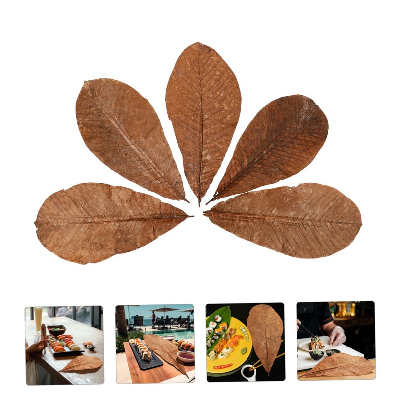 CIYODO 20pcs Dried Leaf for Sushi Plate Elegant Japanese Food