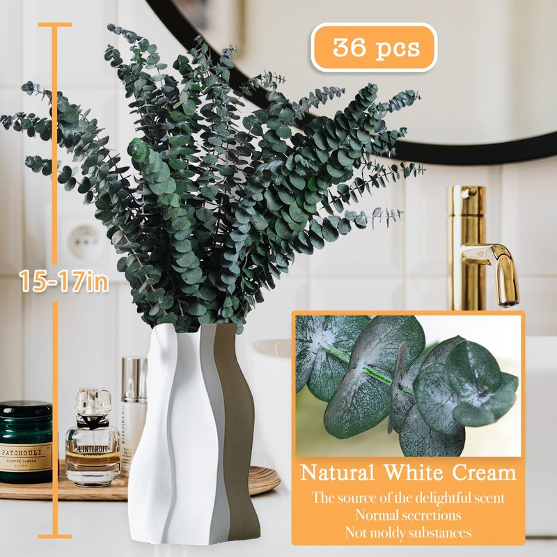 Koceko 36 Pcs Dried Eucalyptus for Shower Hanging - 17''
