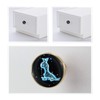 Amogeeli Glowing in Dark Zodiac Glass Brass Cabinet Drawer Knob