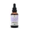Bugleweed USDA Organic Alcohol-Free Extract | Dietary Supplement, High-Potency Tincture,