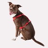 GF PET Travel Harness - Red - L