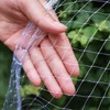 Bird Protection Net, Tight Mesh Bird Net, Bird Protection Net,