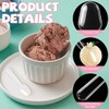 100 Pcs 2.95 Inch Disposable Clear Plastic Mini Spoons, Tasting