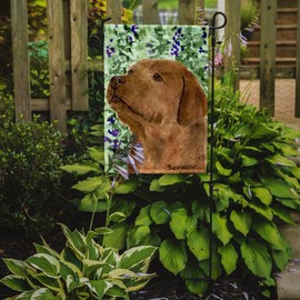Caroline's Treasures SS8743GF Chocolate Labrador Garden Flag Mailbox Flag Decorative Yard Flag Banner Outside Patio Artwork Yard Flower Beds, Garden Size, Multicolor