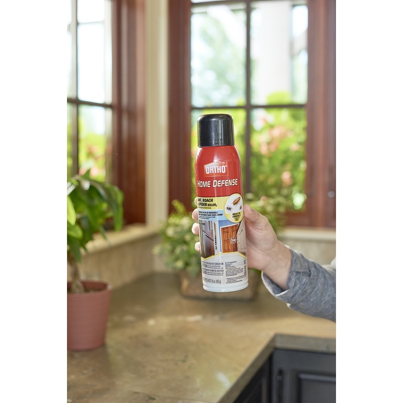 Ortho Home Defense Ant, Roach & Spider Killer2