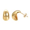 Aleasha 18K Earrings Dupes Small Chunky Earrings for Women 18K