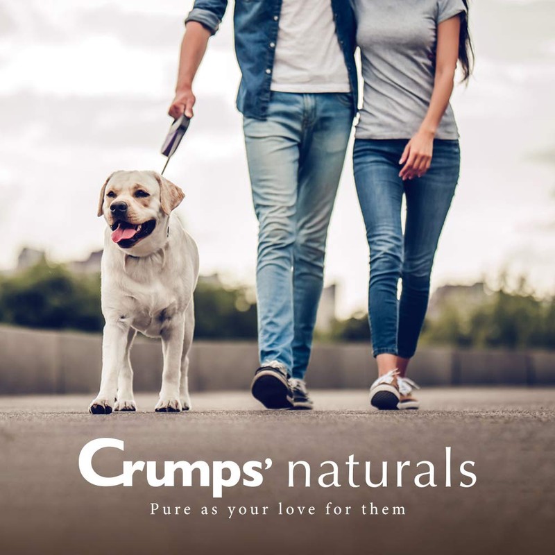 Crumps' Naturals Dog Treat - Mini Trainers