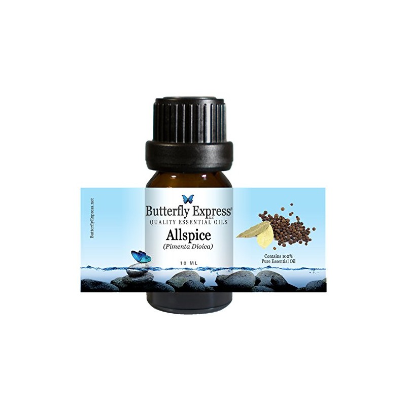 Allspice Essential Oil 10ml - 100% Pure by Butterfly Express
