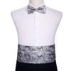 Barry.Wang Mens Silver Cummerbund Bow Tie Set, Silk Cummerbund Pretied