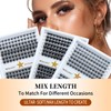 RITALASH Lash Clusters DIY Cluster Lashes Volume Eyelash Clusters Eyelash