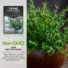SURVIVAL GARDEN SEEDS Survival Garden Seeds - Thyme Seed for