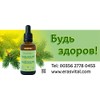 Polyprenoles from Siberian Conifers in Sacha Inchi Oil 50 ml