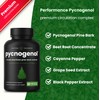 NutraChamps Pycnogenol French Maritime Pine Bark Extract, Premium Circulation Complex,