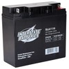 18 AH Scooter battery with bolt-on connectors by Interstate Battery