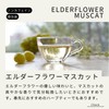 Tree of Life Delicious Herbal Tea Elderflower Muscat Set of