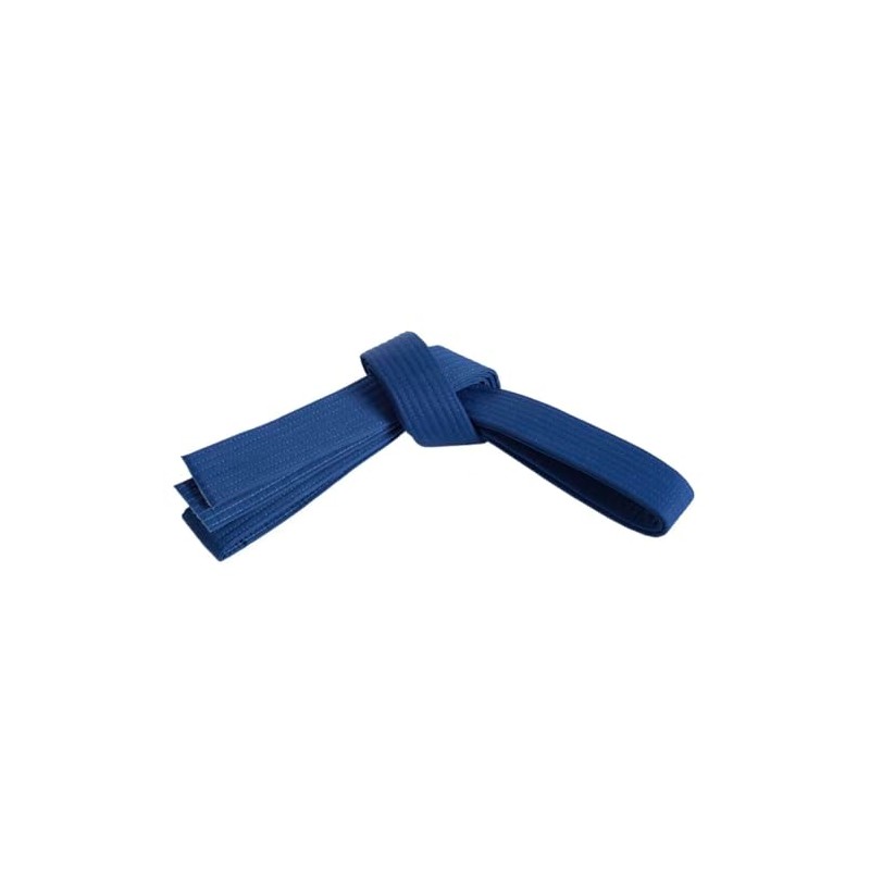 Mastery Leadership (blue belt, 3)