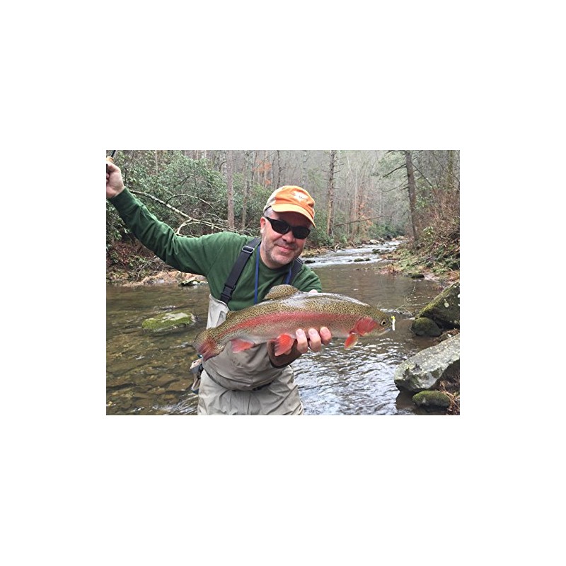 Leland's Lures Trout Magnet 50-Pack Split-Tail Grub Body Pack, Also