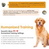 Dog Shock Collar - Exclusive Shock-Prohibition Lock Mode, Dog Training