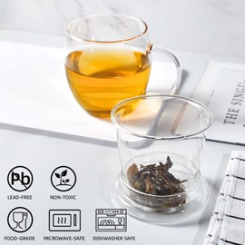 Glass Tea Cups with Infuser and Lid, Borosilicate Glass Teacup with Strainer for Steeping Blooming Tea & Loose Leaf Tea, Filter 99% of Tea Leaves, Lead-free, Microwave Safe, 17oz